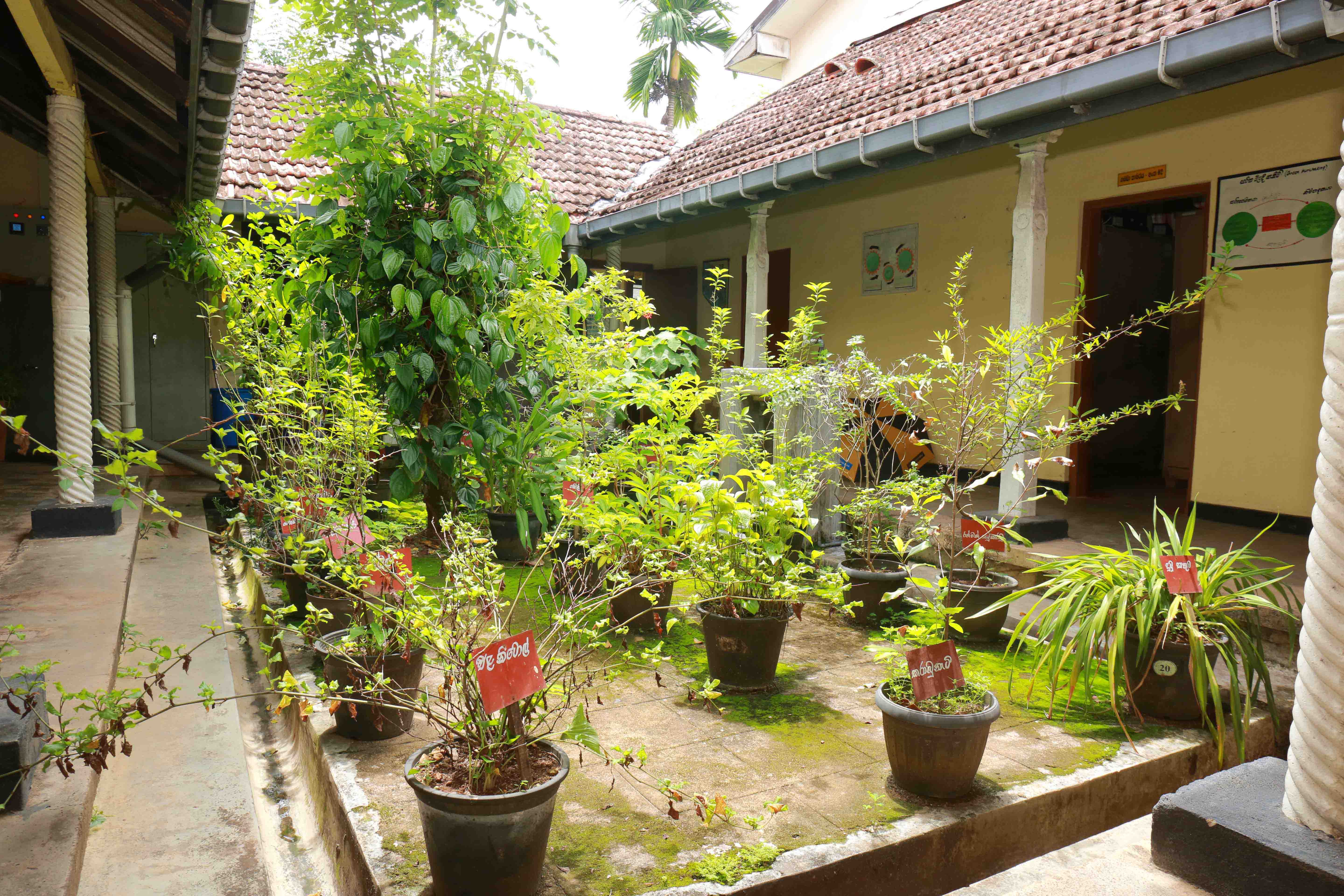 Ayurveda Sri  Lanka